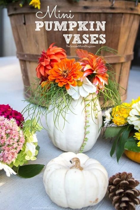 How to make DIY mini pumpkin vases! These gorgeous mini pumpkin vases are the perfect way to display fresh flowers for fall or a unique Thanksgiving centerpiece! Try making these pumpkin vases today for beautiful home decor! They are amazing for Fall! #fall #thanksgiving #diy #crafts #pumpkin #homedecor Floral Arrangement Ideas, Flowers For Fall, Diy Thanksgiving Centerpieces, Mason Jar Pumpkin, Pumpkin Floral Arrangements, Fall Mason Jars, Pumpkin Vase, Cherry Brandy, Fun Fall Crafts