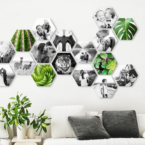 Hexagon Photo, Bee Room, Hexagon Wallpaper, Design Collage, Picture Tiles, Dog Calendar, Travel Wall Decor, Memory Wall, Cork Tiles