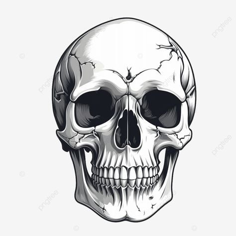 skull and crossbones skull and crossbones skull and crossbones vector png Skull Drawing Ideas, Clothing Doodles, Human Skull Drawing, Pirate Design, Skull Stencil, Skull Pictures, Skull Png, Skulls Drawing, Skull Illustration