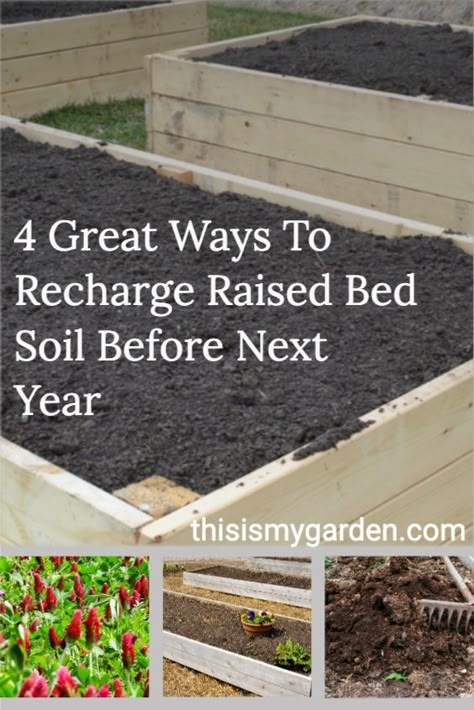 Raised Garden Beds Diy Vegetables, Raised Bed Garden, Tattoo Plant, Garden Remedies, Vegetable Garden Diy, Diy Raised Garden, Raised Garden Beds Diy, Garden Compost, Garden Help