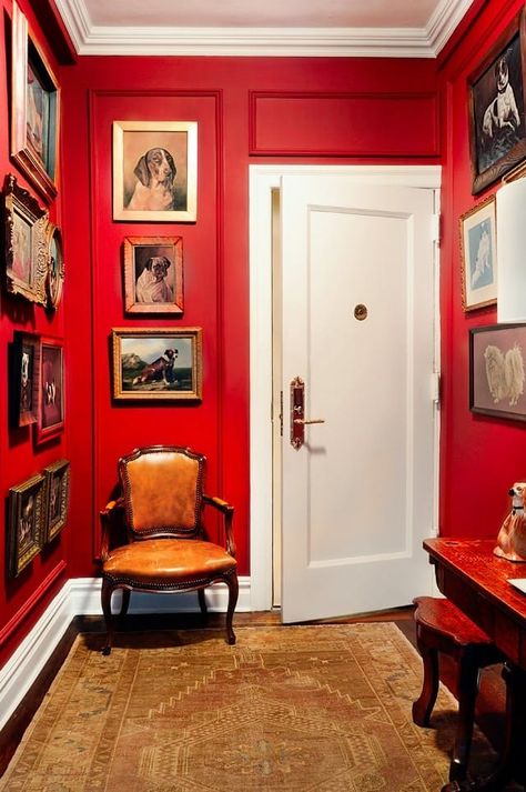 Home Horoscopes: The Best Colors for Your Zodiac Sign | Apartment Therapy Red Entryway, Castle Inspiration, Colorful Rooms, Colorful Homes, Red Paint Colors, Red Dining Room, Red Room, Bohemian Eclectic, Gorgeous Interiors