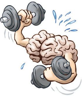 Brain Based Learning, Fun Brain, Mental Toughness, Brain Exercise, Brain Science, Muscle Memory, Mental Training, Health Habits, Mental Strength