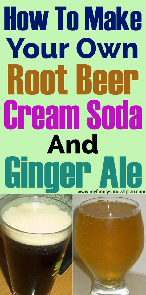 Soda Stream Recipes, Root Beer Recipe, Ginger Ale Recipe, Homemade Rootbeer, Homemade Soda, Home Brewery, Fermentation Recipes, Soda Recipe, Less Sugar