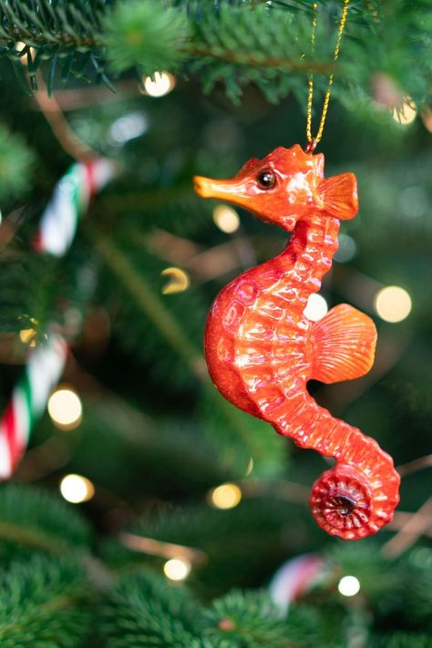 beautiful ceramic red seahorse ornament by rengora hanging on a lit Christmas tree with candy cane in the background Seahorse Christmas, Seahorse Ornament, Paper Mache Eggs, Color Gradients, Beachy Christmas, Sea Dragon, Hand Painted Decor, Hand Painted Ornaments, Christmas Decorations Ornaments