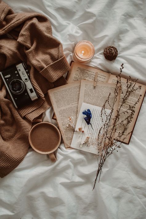 #huggehome #atmosphere #homecozy #aesthetics #amazing #warm #vibes #spring #happy #cupcoffe #creativephoto #beautiful #creativelife Spotify Study Playlist, Study Playlist, Aesthetic Playlist, Lofi Beats, Book Flatlay, Cosy Aesthetic, Academia Light, Light Academia Aesthetic, Spring Books