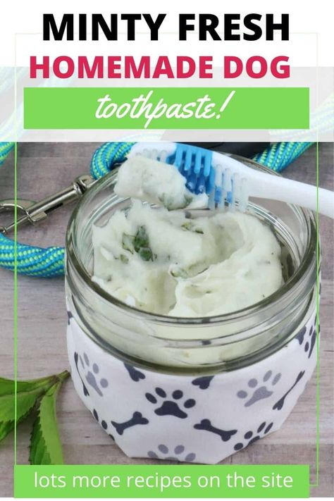 Dog Toothpaste Recipe, Diy Dog Toothpaste, Homemade Dog Toothpaste, Toothpaste Recipe, Dog Toothpaste, Homemade Toothpaste, Healthy Dog Treats Homemade, Dog Treats Homemade Recipes, Dog Health Tips