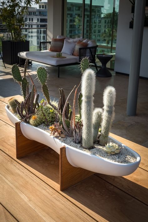 We're big fans of cacti and succulents so this planter really made our hearts happy. Such a cool vibe. Planter is the Peanut Planter @vessel_usa and the beautiful arrangement was created by our friends at @greenflorals in Hillcrest. Landscape Design, Build, Decor: @branchoutlandscapes Styling: @_appleofmyeyedesign_ Photography @emma_a_photo San Diego Neighborhoods, Landscape Installation, Garden Lovers, Cacti And Succulents, Planter Boxes, Design Firms, Design Working, Portfolio Design, Design Process