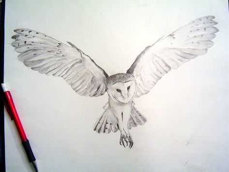 Snowy Owl Tattoo, Barn Owl Tattoo, Owl Tat, Labyrinth Tattoo, Owl Tattoo Drawings, Owl Sketch, Fly Drawing, Geometric Owl, Owl Wings