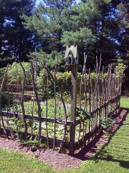 30+ Garden Projects using Sticks & Twigs Cheap Garden Fencing, Fenced Vegetable Garden, Raised Vegetable Gardens, Diy Garden Fence, Deer Fence, Video Garden, Garden Vines, Potager Garden, Garden Types