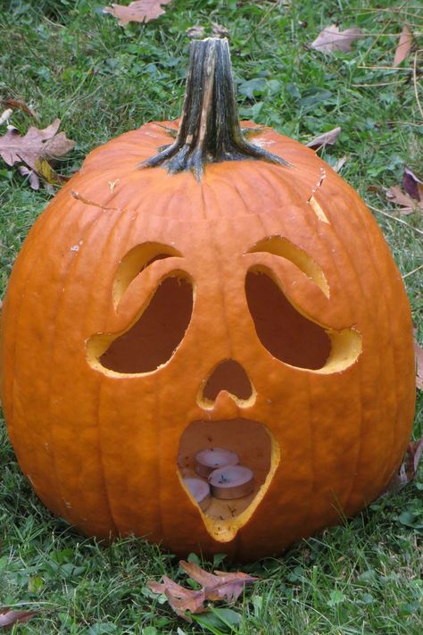 Pumk8n Ideas, Pumpkin Carving Moo Deng, Pumpkin Carving Ideas Easy Creative Kids, Cute Halloween Carving Ideas, Cool But Easy Pumpkin Carvings, Pumpkins Carving Ideas Easy, Flat Pumpkin Carving Ideas, Pumpkin Carving Ideas For Long Pumpkins, Cute Pumpkin Carving Ideas Simple Girly