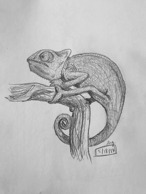 chameleon drawn by @meshellg12 Chameleon Drawing Easy, Chameleon Drawing, Pencil Drawings Of Animals, Sketching Tips, Tous Les Anime, Pencil Shading, 3d Drawings, Realistic Paintings, Drawing Easy