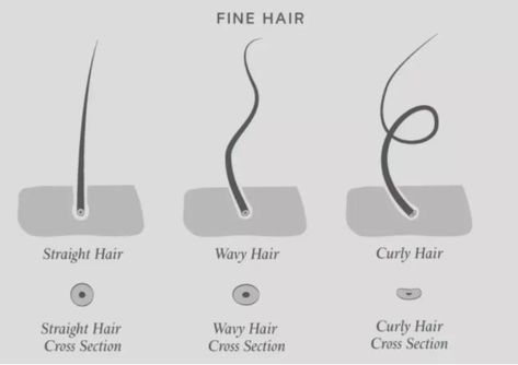 Brassy Blonde Hair, Hair Science, Hair Growth Cycle, Hair Quiz, Hair Strands, Hair Guide, Hair Spa, Hair Shop, Hair Strand