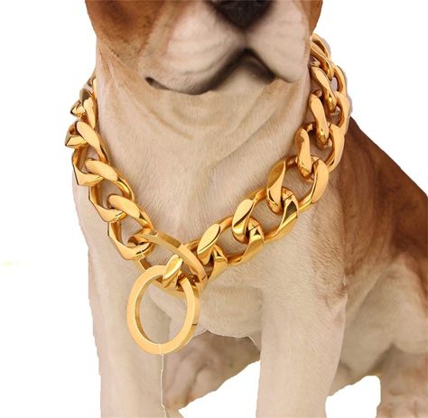 WandW Lifetime Custom Ultra Strong 19MM Slip Chain Dog Collar - For Pit Bull Mastiff Bulldog Big Breeds * Sincerely hope you actually enjoy the image. (This is our affiliate link) #dogcollarsharnessesandleashes Chain Dog Collar, Gold Dog Collar, Pitt Bull, American Pitbull, Necklace Collar, Collar Chain, Training Collar, Bull Mastiff, Dog Necklace