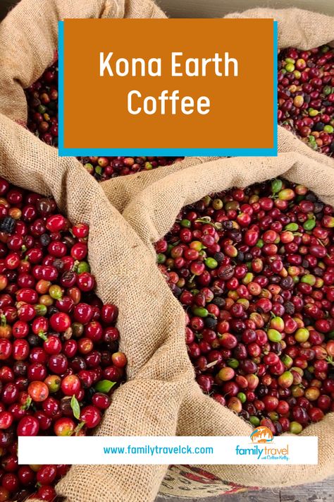 Learn about the owners of Kona Earth Coffee and get inspired by their story! (Plus get link to order coffee) Photo courtesy Kona Earth Coffee Hawaii Kona, Costa Rican Coffee, Order Coffee, Coffee Photo, Travel Hawaii, Coffee Reading, Kona Coffee, Coffee Business, Coffee Farm