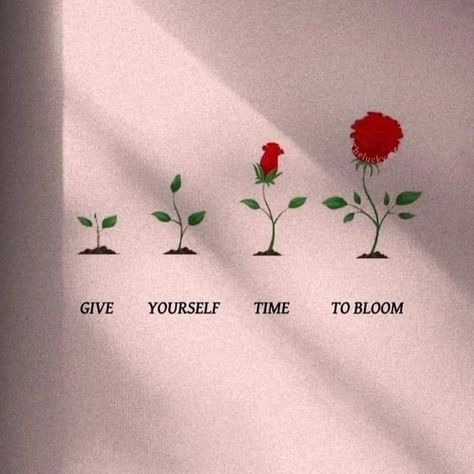 Give yourself Time to Bloom 🌺 #Motivation #Time Give Yourself Time To Bloom, Desk Quotes, Give Yourself Time, Folgers Coffee, Flower Quotes, Affirmations, Blossom, Desk, Quotes