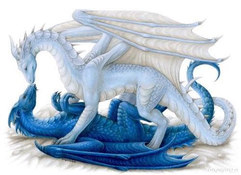 Valentines day-Dragons Dragon Couple, Beautiful Dragons, Cute Dragon Drawing, Drawing Blue, Easy To Paint, Dragon Artwork Fantasy, Cute Dragon, Cool Dragons, Mythical Animal