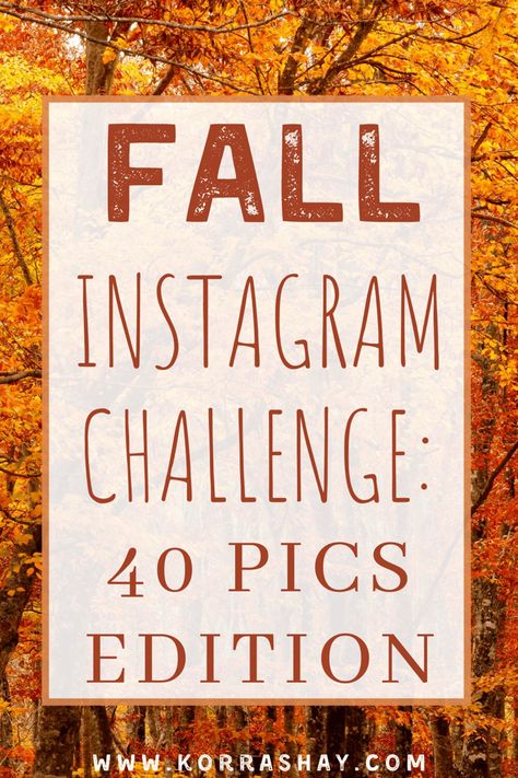 Fall Instagram challenge: 40 pics edition! Fall picture ideas! 40 pictures you should take this fall for the perfect fall instagram challenge. Fall photoshoot ideas that are so cute! #fall #fallpics #instagram #instagramideas #photoshoot This Or That Fall Edition Instagram, Fall Photoshoot Challenge, Fall Instagram Photo Ideas, Fall Content Ideas For Instagram, Fall Instagram Pictures Ideas, Fall Picture Ideas For Instagram, Fall Photo Challenge, Fall Instagram Pictures, National Family Day