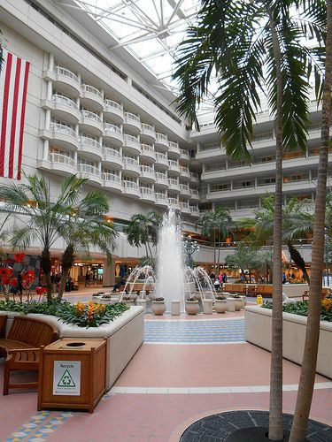 Orlando International Airport Orlando Airport Aesthetic, Orlando Airport, Orlando International Airport, Interior Landscape, Miami Orlando, Airport Aesthetic, Florida Life, Orlando Florida, My Parents