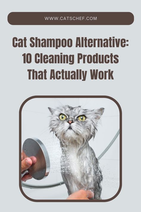 As a proud pet parent, there’s hardly a commercially available cleaning product that hasn’t caught your eye. But with how busy you are, there are times when you forget to put a decent cat shampoo in your shopping basket. “Wouldn’t a cat shampoo alternative do the same thing, though?”


#catschef #cat #cats #kitten #kittens #catlover #catlovers #catlife #catoftheday #meow #pets #cute #love #animals #animallovers #kitty #kittycat #persiancat #mainecoon Diy Cat Shampoo, Shampoo Alternative, Cat Shampoo, Pets Cute, Love Animals, Got Your Back, Persian Cat, Cat Diy, Cat Care