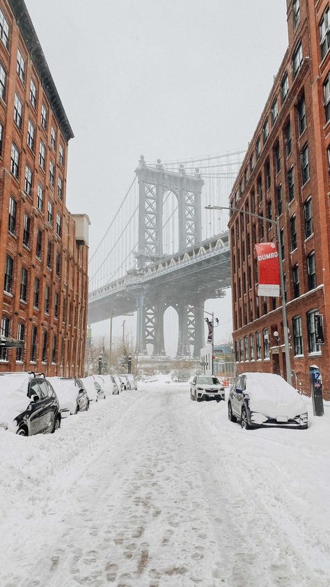 adelaidechantilly on Instagram: Snow day in Dumbo, Brooklyn ❄️ . . . . #nyc #nycsnowstorm #2021snowstorm #snowday #dumbo #dumbobrooklyn #nycphotographer… Snow Nyc, Ny Winter, Winter Blizzard, Nyc Snow, New York Snow, New York City Christmas, Dumbo Brooklyn, Nyc Christmas, Snow Storm