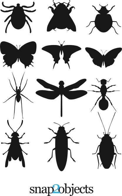 I am so afraid of bugs that I would rather have a famished crocodile in front of me than a cockroach. But when they come dissected as harmless vectors it is easier to cope! :) So, here are 12 Insec… Silhouettes Of People, Household Objects, Animals Flowers, I Would Rather, Finding The One, Silhouette Stencil, Desenho Tattoo, Stencil Patterns, Animal Silhouette