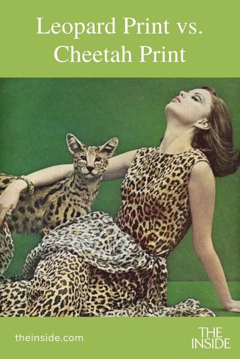 Learn the difference between these two animal prints to help you choose the best look for your unique style needs. Animal Instinct, Ellen Von Unwerth, Exotic Cats, Leopard Fashion, Animal Print Fashion, Leopard Animal, Moda Vintage, 60s Fashion, Glamour Fashion