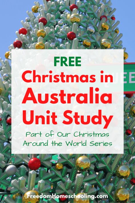 Thanksgiving Unit Study, Canada For Kids, Christmas Fun Facts, Christmas Learning, Christmas Units, Study In Canada, Christmas In Australia, Christmas Around The World, Australian Christmas