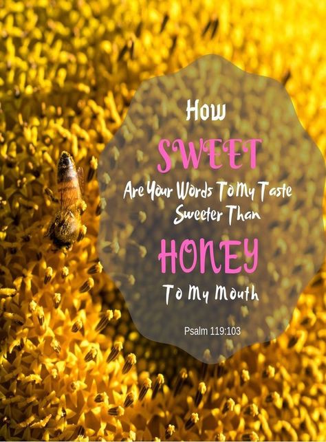 How would you describe a taste of honey? SWEET!!! Or it can be floral, fruity or silky and earthy.  King David described God's words to him SWEETER than HONEY  like a honeycomb, sweetness to the soul and health to the body.   God's Word is Truth | God's Word and Inspirational Quotes | GOD'S WORD, Sweet as HONEY!!! | God's Word HEALS! Honey Quotes, Bee Ideas, Sweeter Than Honey, Sweet As Honey, King David, Aunt Shirts, Phone Ideas, Psalm 119, Womens Ministry