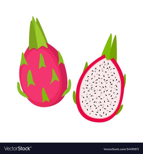 Dragon Fruit Vector, Fruit Puns, Buah Naga, Mesh Tool, Fruit Clipart, Cartoon Fruit, English Teaching, Dragon Fruit, Transparent Png