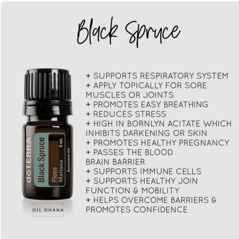 Black Spruce Essential Oil, Essential Oil Aphrodisiac, Spruce Essential Oil, Terra Essential Oils, Essential Oil Anti Aging, Black Spruce, Doterra Oil, Essential Oils 101, Doterra Essential Oils Recipes