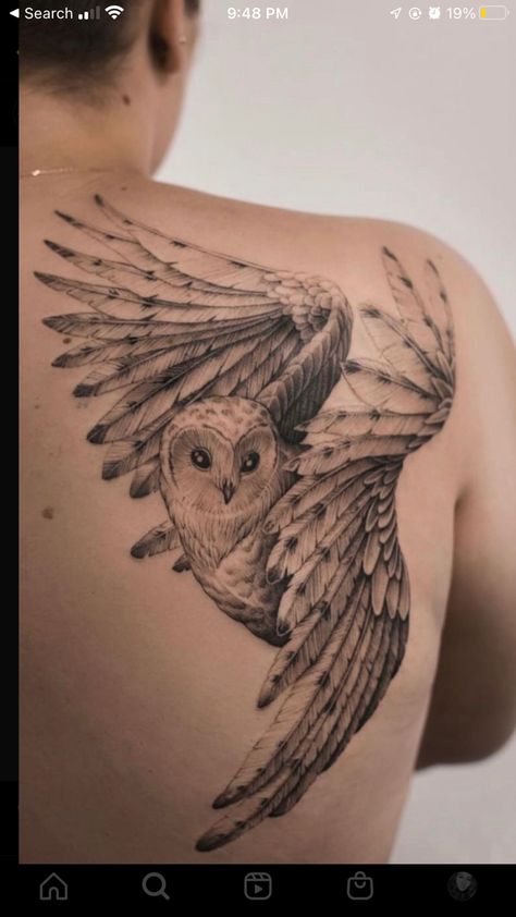 An Owl Tattoo, Owl Tattoo Ideas, Traditional Owl Tattoos, Barn Owl Tattoo, Magical Owl, Hawk Tattoo, Owl Designs, Petit Tattoo, Muster Tattoos