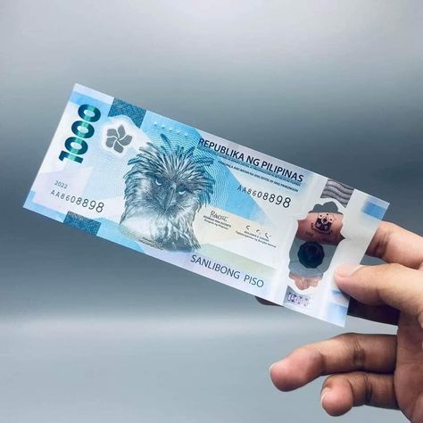 Money Philippines Pictures, 1000 Peso Bill Philippines, Australian Money, Money Bill, Money Collection, My Style Bags, Fake Money, Philippine News, The 1000