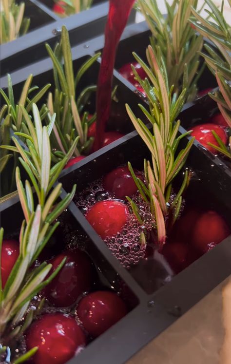 FESTIVE ICE CUBES - cheesegal.com Cranberry Ice Cubes, Cranberry Ice, Juice Ice Cubes, Juice Ice, Ice Cube Molds, Fresh Cranberries, Fresh Rosemary, Cranberry Juice, Sparkling Water