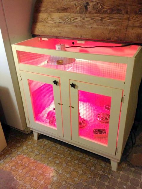 Homemade Chicken Brooder made from an indoor unit. Chicken Brooders, Chick Brooder, Brooder Box, Urban Chicken Farming, Chicken Brooder, Portable Chicken Coop, Chicken Pen, Urban Chickens, Coop Design