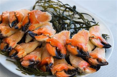 Stone Crab Claws Recipe, Rock Crab Claws Recipe, Crab Claws Recipe, Crab Claw Recipes, Crab Orchard Stone, Raw Marinated Crab, Rock Crab, Stone Crab Claws, Crab Recipe