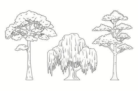 Page 6 | Nature drawing Vectors & Illustrations for Free Download | Freepik Trees Outline, Tree Outline, Outline Illustration, Nature Drawing, Vector Hand, High Quality Images, Graphic Resources, Hand Drawn, Vector Free