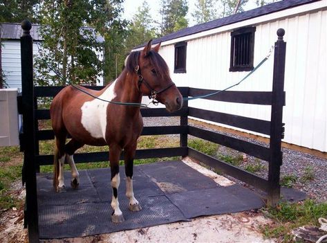 Outdoor wash stall / grooming rack - Horses | BackYard Chickens Horse Enclosure Ideas, Horse Shower Stall, Horse Farm Ideas, Barn Hacks, Diy Horse Barn, Horse Barn Ideas Stables, Horse Barn Designs, Horse Shelter, Dream Horse Barns