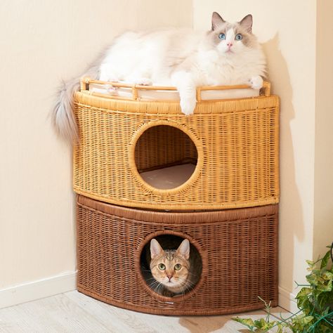 Triangle Shape, Pet Bed, Cat House, Cat Bed, Cat Toys, Dog Bed, New Product, Vietnam, Hand Weaving