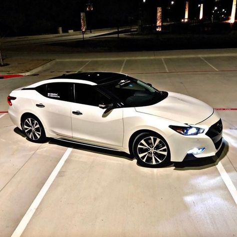 Legend Nissan on Instagram: “Late night drive. #legendnissan #nissan #nissanmaxima #maxima #nissanlife #maximalife #nissanlove #maximumpower #maximamonday #monday…” Sentra Nissan, Nissan Maxima 2016, Nissan Hardbody, Dream Cars Bmw, Night Drive, Nissan Cars, Foose, Nissan Patrol, Car Ideas