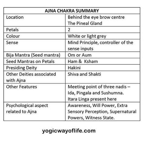 Ajna Chakra - The Third Eye - Yogic Way of Life Ajna Chakra, Yoga Third Eye, Third Eye Chakra Yoga, Yoga Sanskrit, Blocked Third Eye Chakra, Third Eye Chakra Correspondences, Yoga Thoughts, Alternate Nostril Breathing, The Third Eye