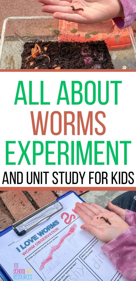 Kids love worms. Turn into a perfect science lesson for preschool or elementary age kids with these printable All About Worms worksheets. Kids can get hands on with their favorite wiggly worm friends and even do a science experiment if you want. Worms Preschool, Worm Science, Activies For Kids, Worm Crafts, Science Unit Studies, Nature Lessons, Bugs Preschool, Preschool Science Activities, Worm Composting