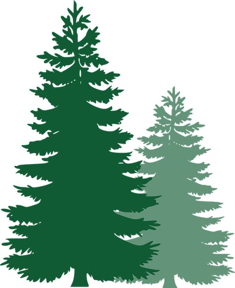 Free vector graphic: Pine Trees, Spruce Trees - Free Image on ... Christmas Tree Silhouette, Pine Tree Silhouette, Bushcraft Skills, Pine Trees Forest, Palm Tree Silhouette, Tree Stencil, Christmas Tree Clipart, Free Clipart Images, Tree Clipart