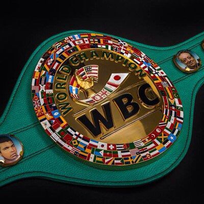 Boxing Belt Champion, Anime Bodybuilder, Wbc Belt, Boxing Belts, Boxing Belt, Boxing Ideas, Boxing Images, Boxing Champions, Combat Sports