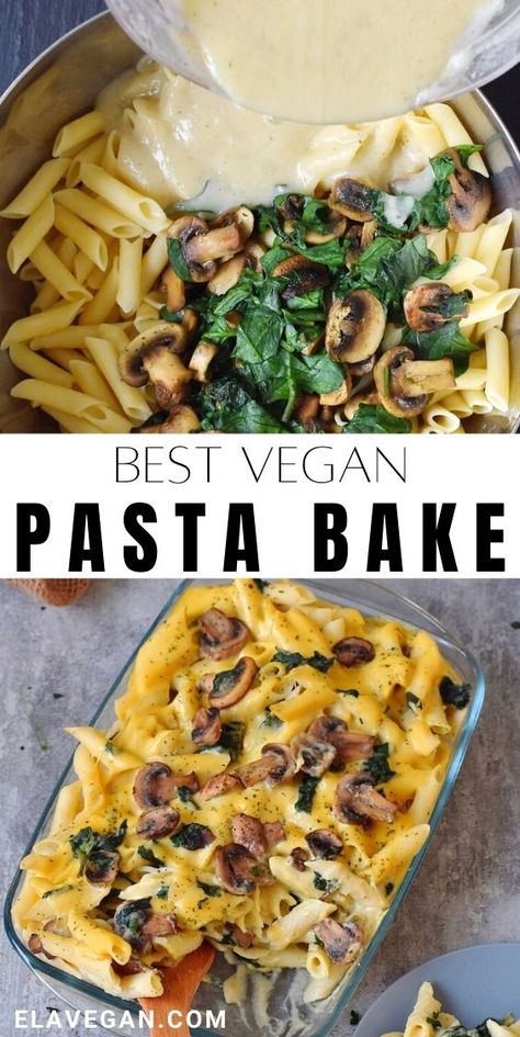 Vegan Pasta Bake, Tacos Vegan, Pasta Bake Recipe, Vegan Pasta Dish, Vegan Casserole, Vegan Cheese Sauce, Plant Based Diet Recipes, Vegan Pasta Recipes, Vegan Main Dishes