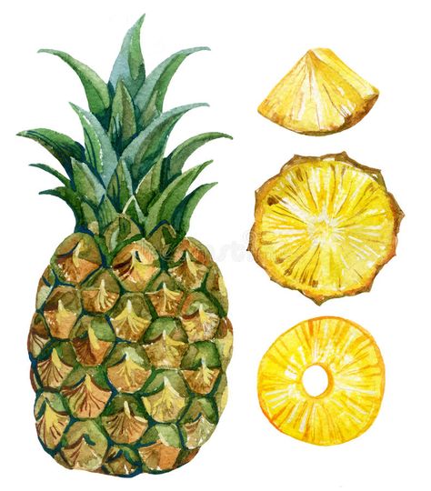 Kitchen Painting Art, Yellow Passion Fruit, Pineapple Watercolor, Fruits Illustration, Pineapple Drawing, Pineapple Painting, Pineapple Illustration, Drawn Cards, Jungle Flowers