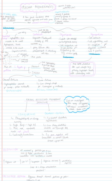 Top quality notes on A Level Plasma Membranes! The only resource you need for this, contains loads of key info the examiners love! Plasma Membrane Notes, Mind Map Notes, A Level Biology, Plasma Membrane, A Level, Black Aesthetic Wallpaper, Mind Map, Black Aesthetic, Aesthetic Wallpaper