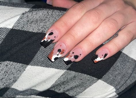 Country Acrylic Nails, Rodeo Nails, Scarecrows Nails, Baby Shower Nails, Cow Print Nails, Cowboy Nails, Western Nails, Country Nails, Cow Nails