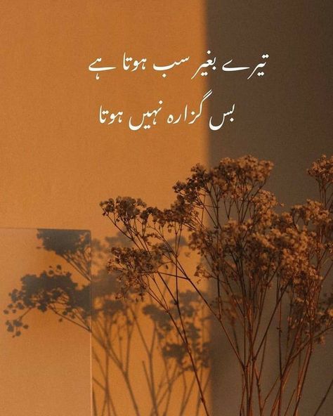 Haidar Ali, Poetry Wallpaper, Romantic Poetry Quotes, Love Quotes In Urdu, Urdu Funny Poetry, Poetry Pic, Love Romantic Poetry, Soul Love Quotes, Love Poetry Images