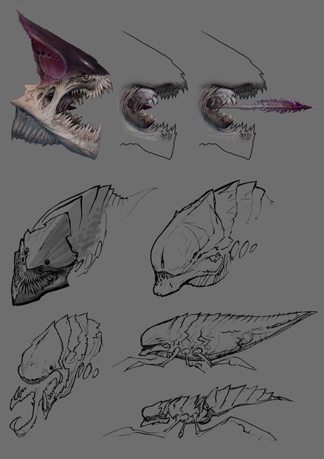 Alien Insect, Arte Alien, Dragon Sketch, Alien Concept, Alien Design, Alien Concept Art, Monster Concept Art, Creature Drawings, Alien Creatures