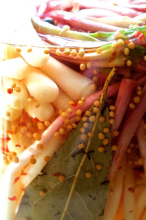 Ramps in pickling brine close-up before becoming pickled ramps. Pickled Ramps Recipe, Pickled Wild Leeks, Pickled Leeks, Pickle Veggies, Ramp Recipes, Wild Leeks, Pickled Ramps, Wild Ramps, Creamed Asparagus